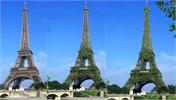 “Cây xanh khổng lồ” giữa Paris