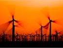 Trung Quốc: Công nghiệp năng lượng gió giảm mạnh
