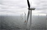 Scotland xây trang trại điện gió lớn nhất thế giới